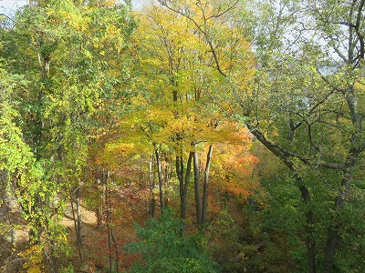 b0209691_1235910.jpg