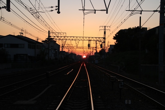 d0181492_08250386.jpg