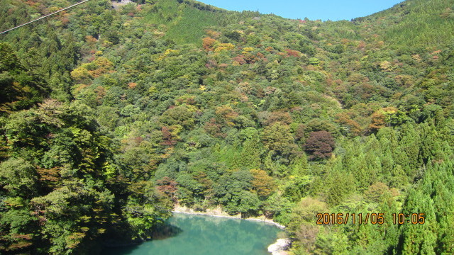 c0133096_14462931.jpg