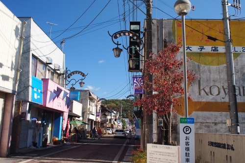 茨城県北芸術祭に行ってきました_e0124597_20345211.jpg