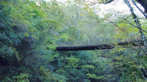 e0124597_22105093.jpg