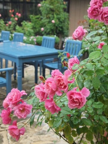秋のお出かけ･･････三重・愛知_b0331802_07121671.jpg