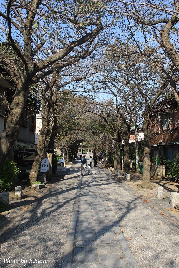 b0348205_21291947.jpg