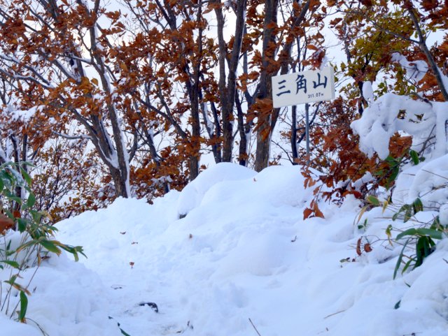 a0345007_1062663.jpg