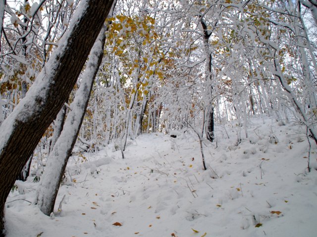 a0345007_904734.jpg