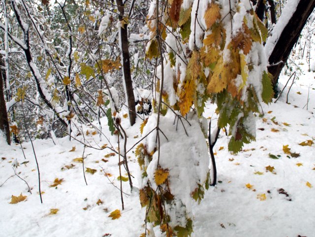 a0345007_9143695.jpg