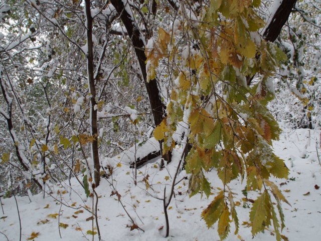 a0345007_9165131.jpg