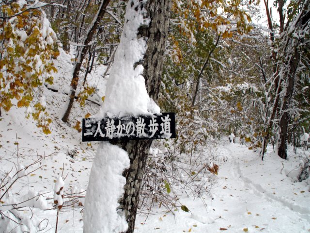 a0345007_9193657.jpg