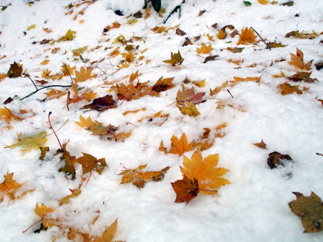 a0345007_9202250.jpg