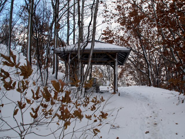 a0345007_922661.jpg