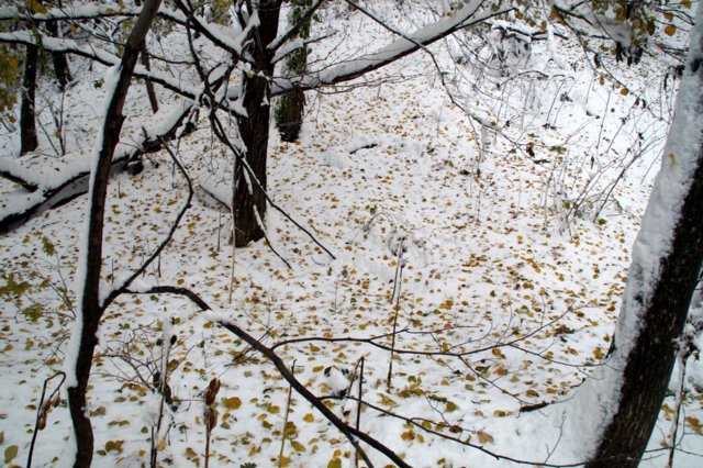 a0345007_9313265.jpg