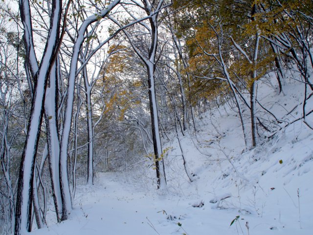 a0345007_94491.jpg