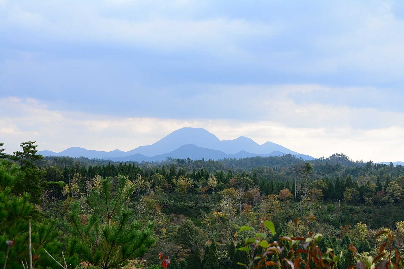 a0248508_1911156.jpg
