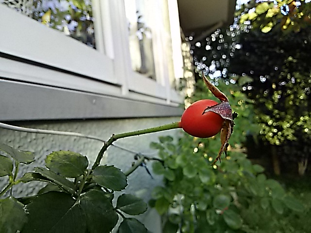 f0024708_16114268.jpg