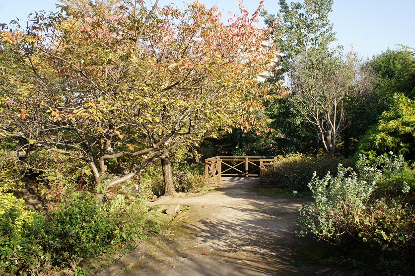 b0112909_2041881.jpg