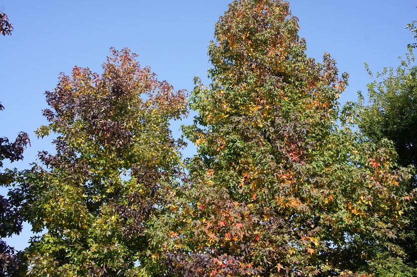 b0112909_20464027.jpg