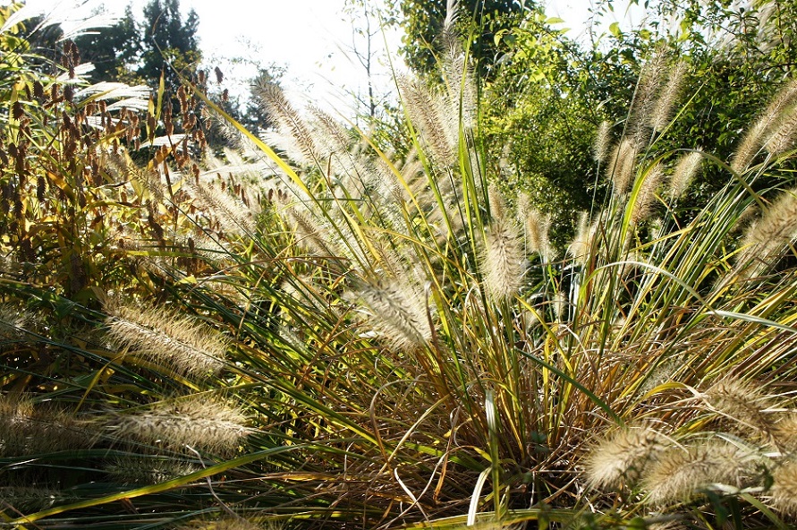 b0112909_20564649.jpg