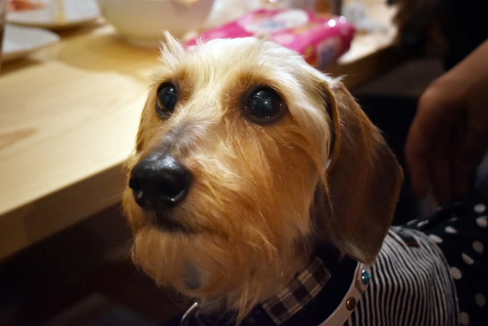 d0179113_20151409.jpg