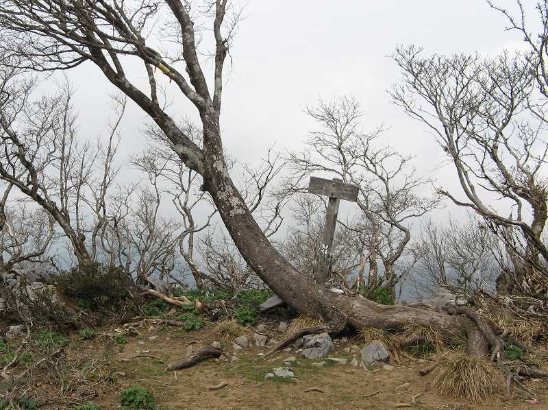 御池岳・鈴北岳・鈴ヶ岳_b0353715_09485749.jpg