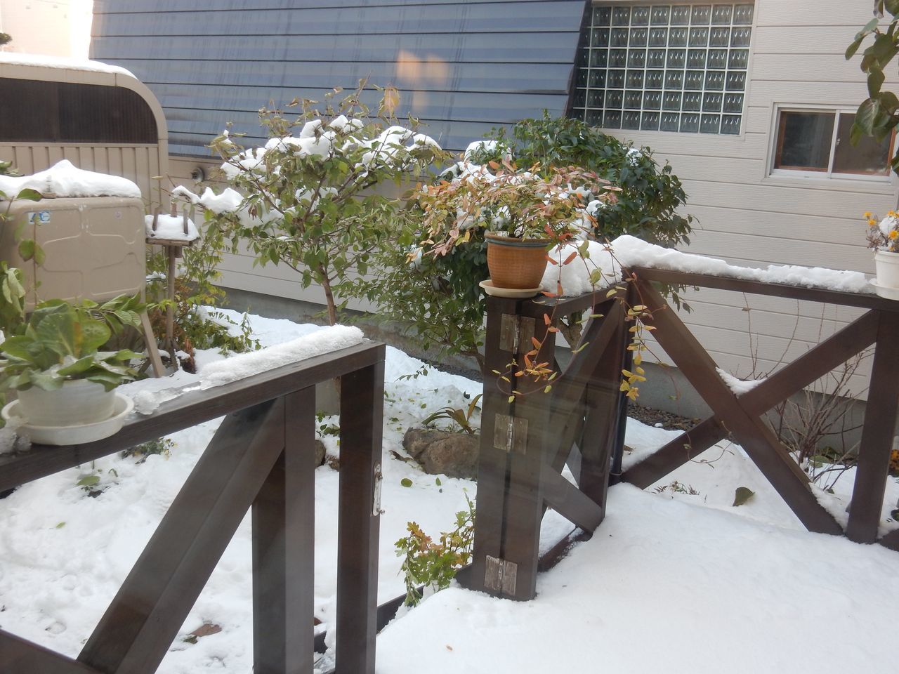 今日は降らず積雪深は10センチダウン_c0025115_22014957.jpg