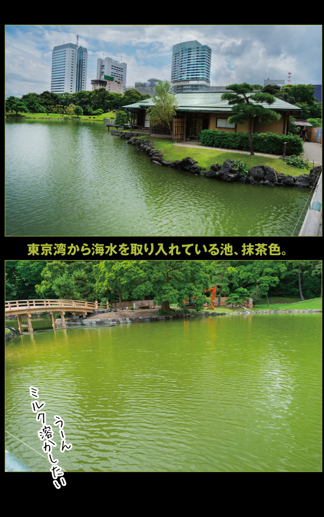 a0358016_12104977.jpg