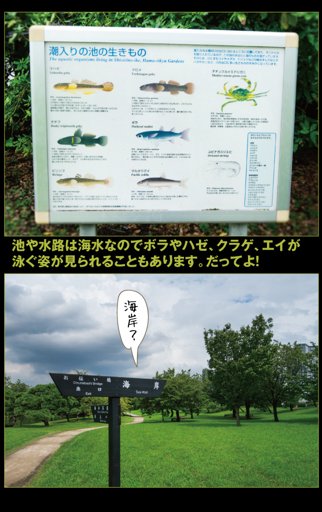 a0358016_12122700.jpg