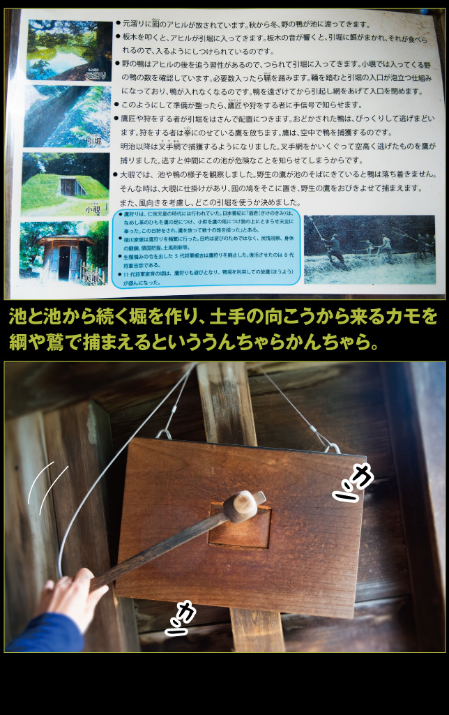 a0358016_12131301.jpg