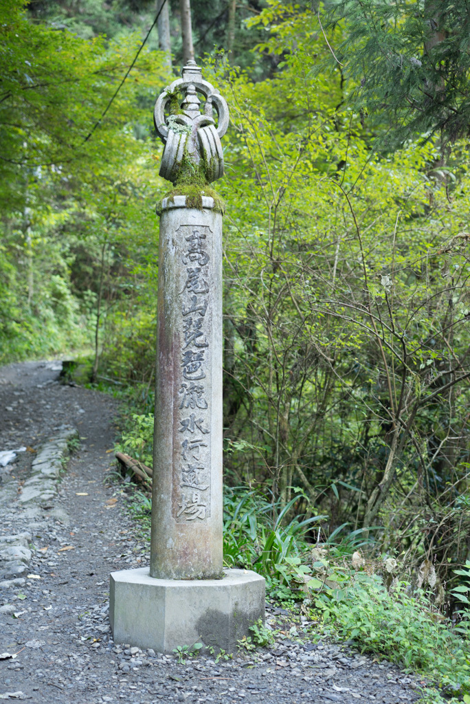 d0161322_20334656.jpg