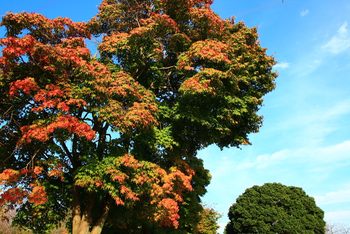 f0209122_19585726.jpg