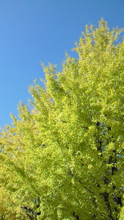 b0170623_017318.jpg