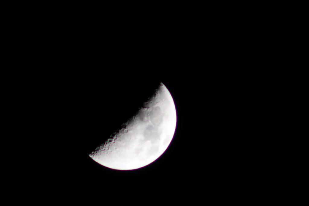 b0317723_21123940.jpg