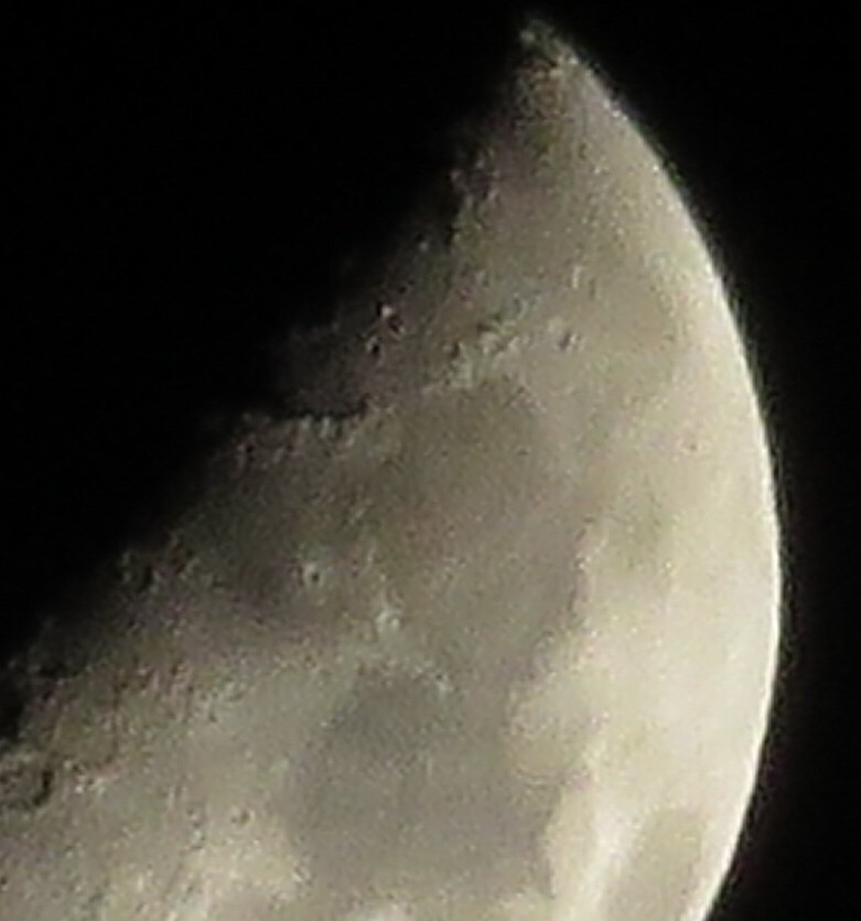 b0317723_21124176.jpg