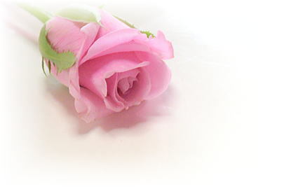 f0014724_17123265.jpg