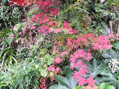 f0213825_1227046.jpg