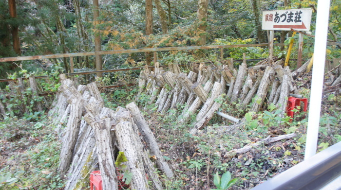 c0228626_23571106.jpg