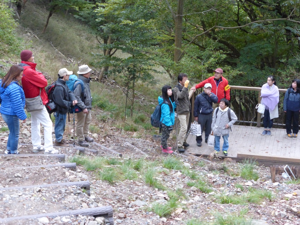 d0024426_1152543.jpg