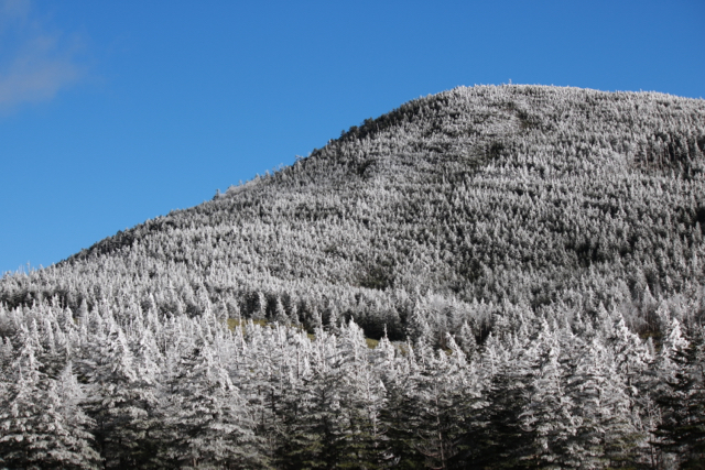 f0348831_23201599.jpg