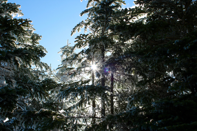 f0348831_23202637.jpg