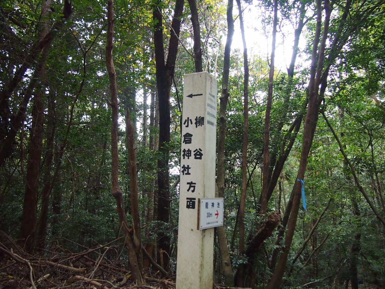 d0024438_14243218.jpg