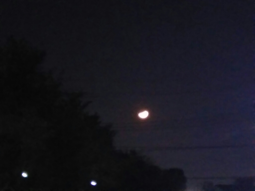 c0076939_22540272.jpg