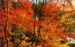 c0179841_21203290.jpg