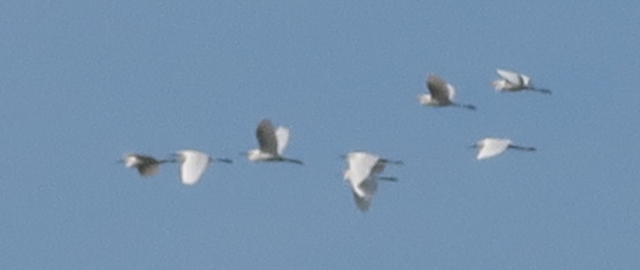 a0109542_19101860.jpg