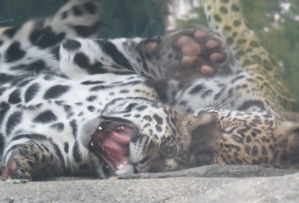 f0002743_135406.jpg