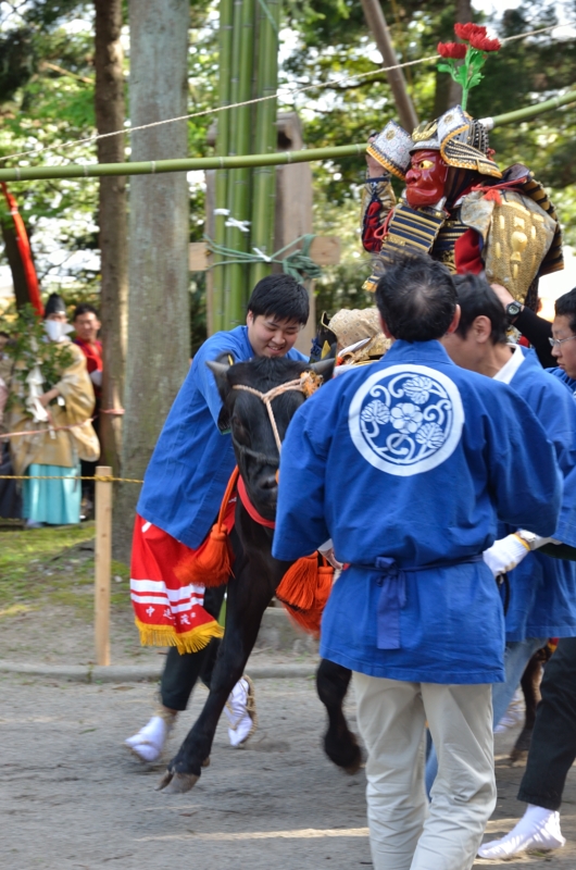 a0263952_20794.jpg