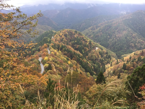 c0073152_8243145.jpg