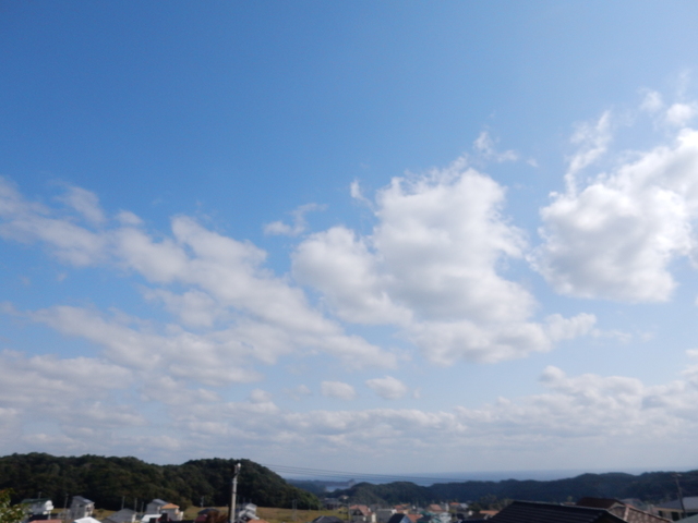 ’16,11,7(月)何でもない日!_f0060461_1131265.jpg