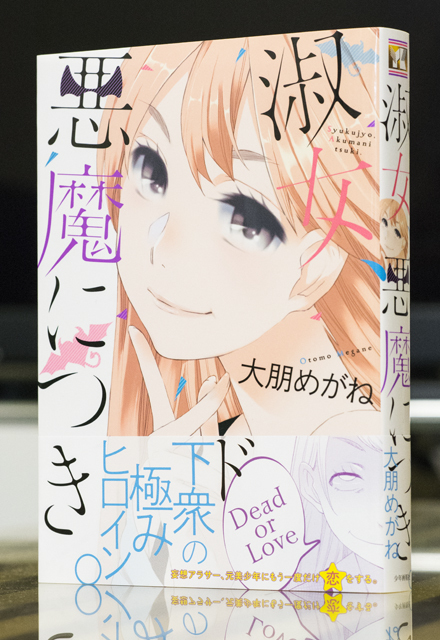 淑女、悪魔につき。_a0208563_16251249.jpg