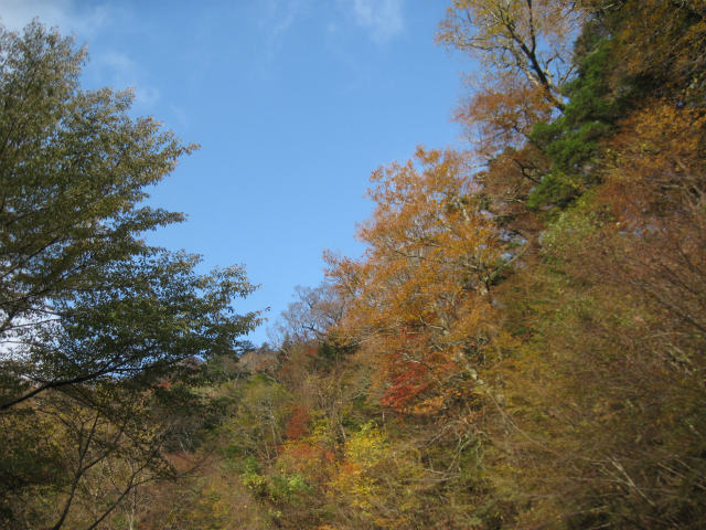c0219866_17145441.jpg