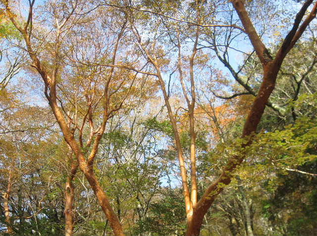 c0219866_17161346.jpg