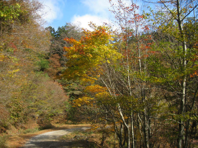 c0219866_17334179.jpg